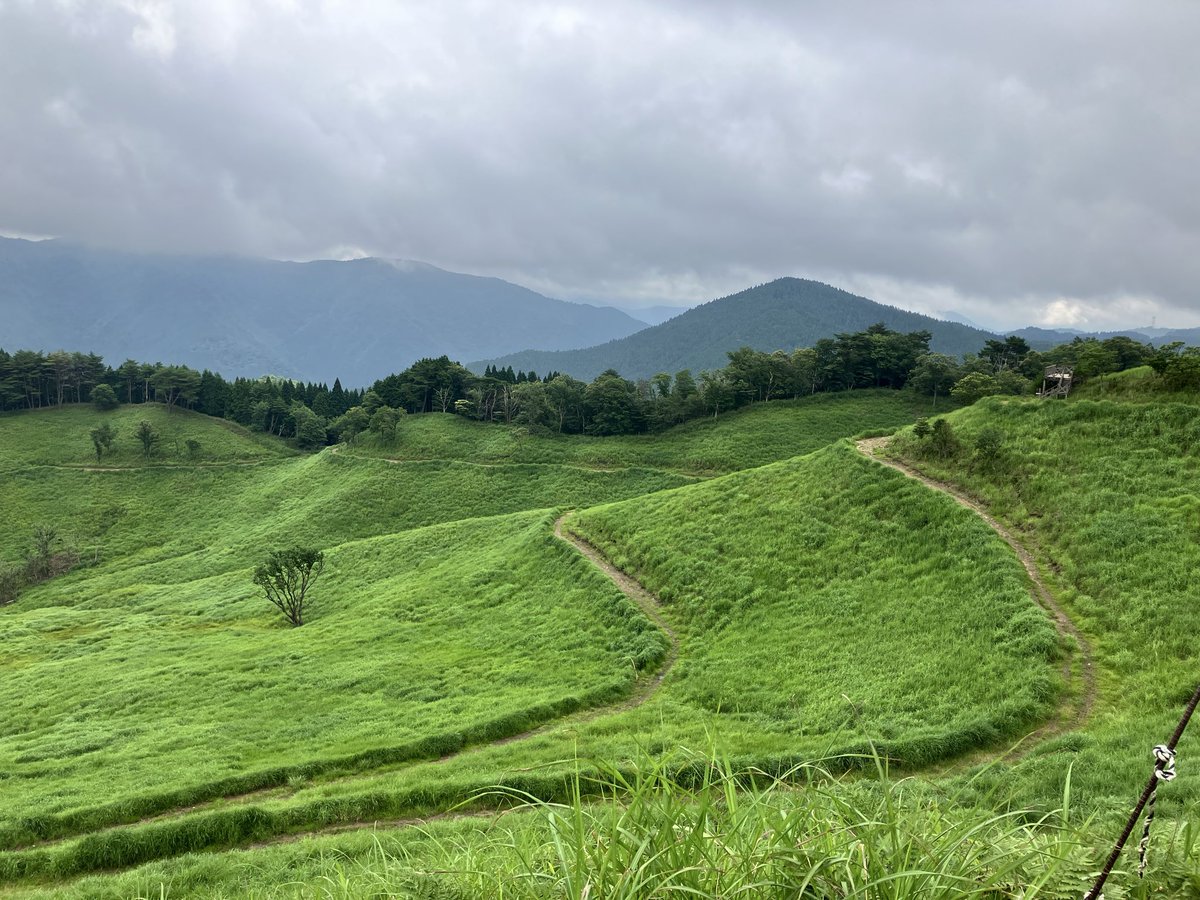0530mhiromi's tweet photo. 【砥峰高原・兵庫県神河町】

一面の緑、広大な高原、鳥のさえずり、川のせせらぎ、風の音…
全てが美しく、心地いい。 https://t.co/S0QLt9jRvy