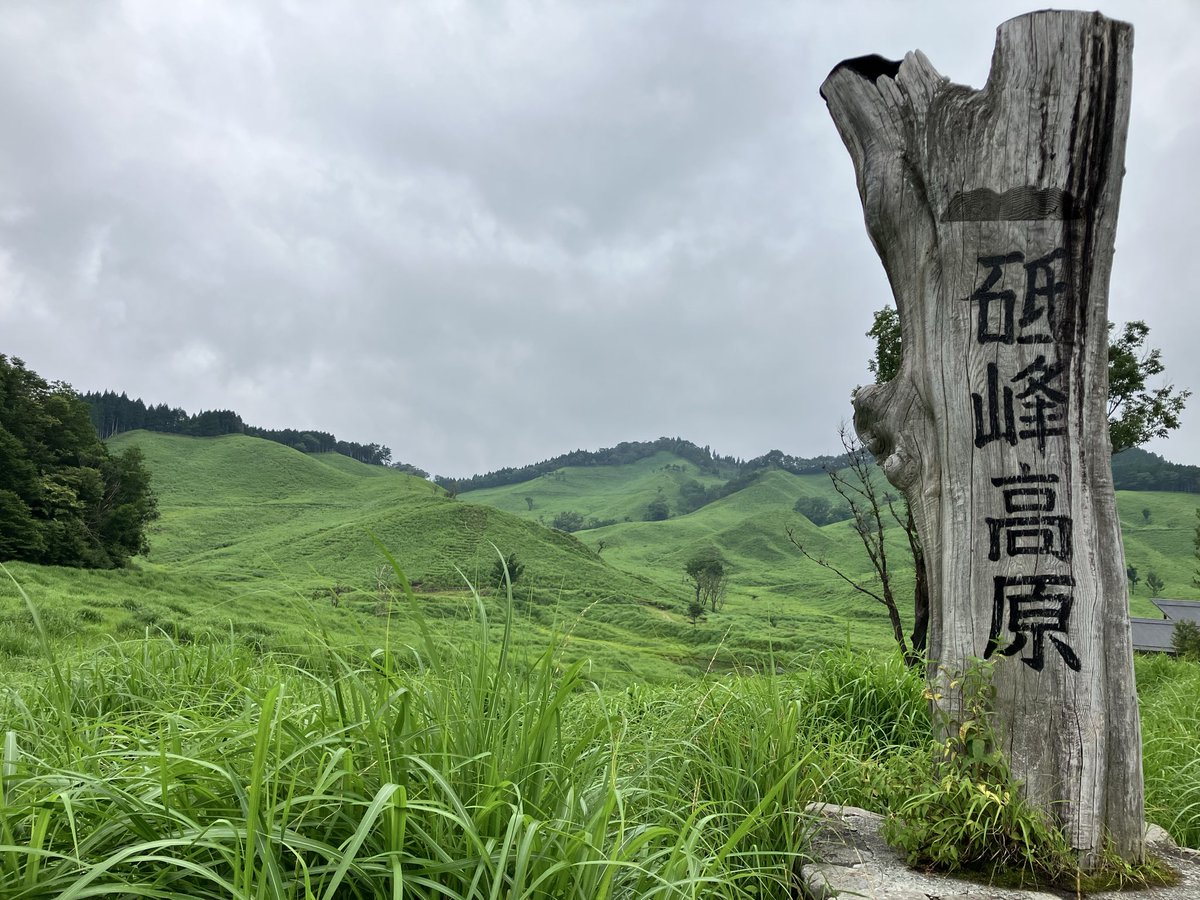 0530mhiromi's tweet photo. 【砥峰高原・兵庫県神河町】

一面の緑、広大な高原、鳥のさえずり、川のせせらぎ、風の音…
全てが美しく、心地いい。 https://t.co/S0QLt9jRvy