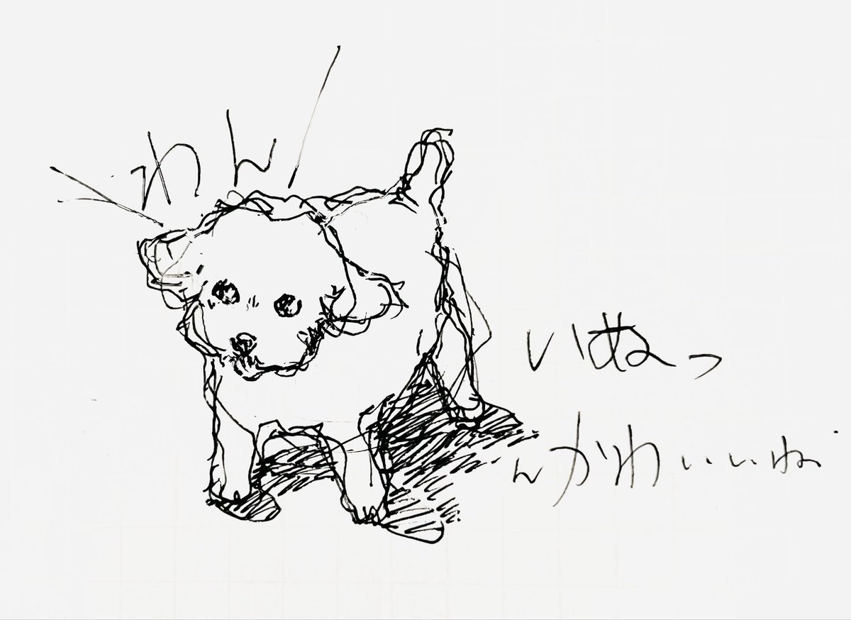 seihi0401's tweet photo. #illustration
#イラスト
#cat
#dog
#猫
#犬 https://t.co/sFM6VB4HV6