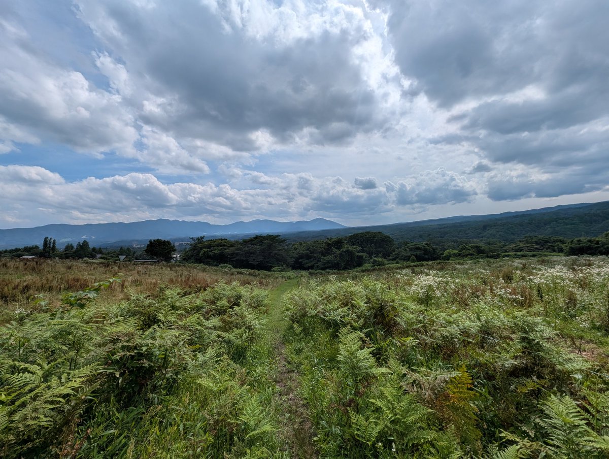 halcyon028's tweet photo. 登山道？？？ https://t.co/Qn3wH5e9nN