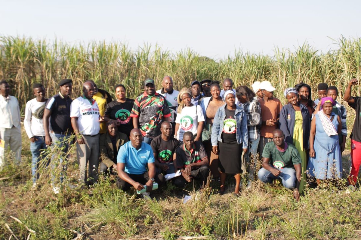 BlessingsRamoba's tweet photo. Yesterday, we had a successful and productive engagement with farmers under the Afrika Mayibuye Agricultural Support Programme at Mutanga wa Ndodzi Farm, owned by Mr Makhale, in Ward 12, Tshivhilwi.

Farmers from across the Thulamela region gathered to discuss the challenges facing the agricultural sector, explore practical solutions, and strengthen collaboration. Following the engagement, we visited the farms together, where we witnessed farmers producing quality food for their communities and supplying local markets.

We extend our sincere appreciation to Mr Makhale for hosting us and to every farmer who participated. Your dedication continues to inspire the movement towards food security, agricultural development, and rural economic growth.

Together, we are building stronger farming communities and a food-secure South Africa.

TOTAL FREEDOM AND EMANCIPATION NOW!
MAYIBUYE iAFRIKA! 🌱🇿🇦

#MayibuyeFarmers #AgriculturalSupport #FoodSecurity #SupportLocalFarmers #Thulamela #MayibuyeiAfrika #SustainableAgriculture #TotalFreedomAndEmancipationNow