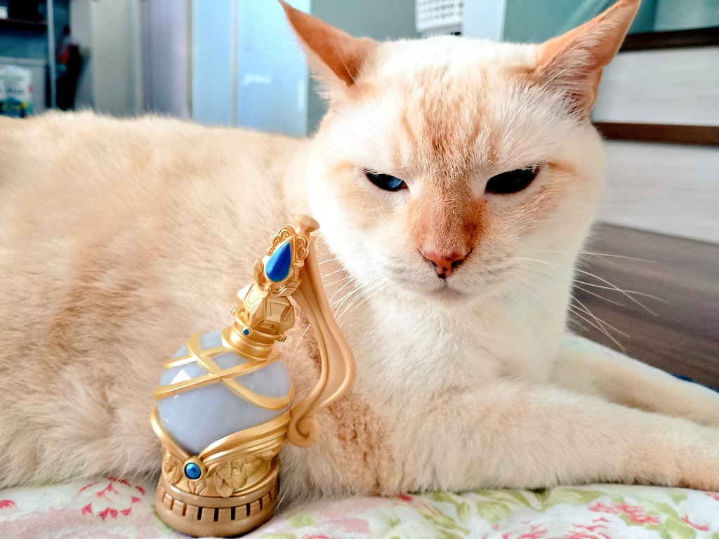 nekomonitor's tweet photo. 今になってジュエルベルをGET。
飾るのにいいかなと思ったんだけど
造型細かいし音声も良くて控えめに言って最高！
おもちゃコーナーで見たのがきっかけで視聴し始めたから、遅れて感動がきた感じ。 https://t.co/tYju8blt1Q