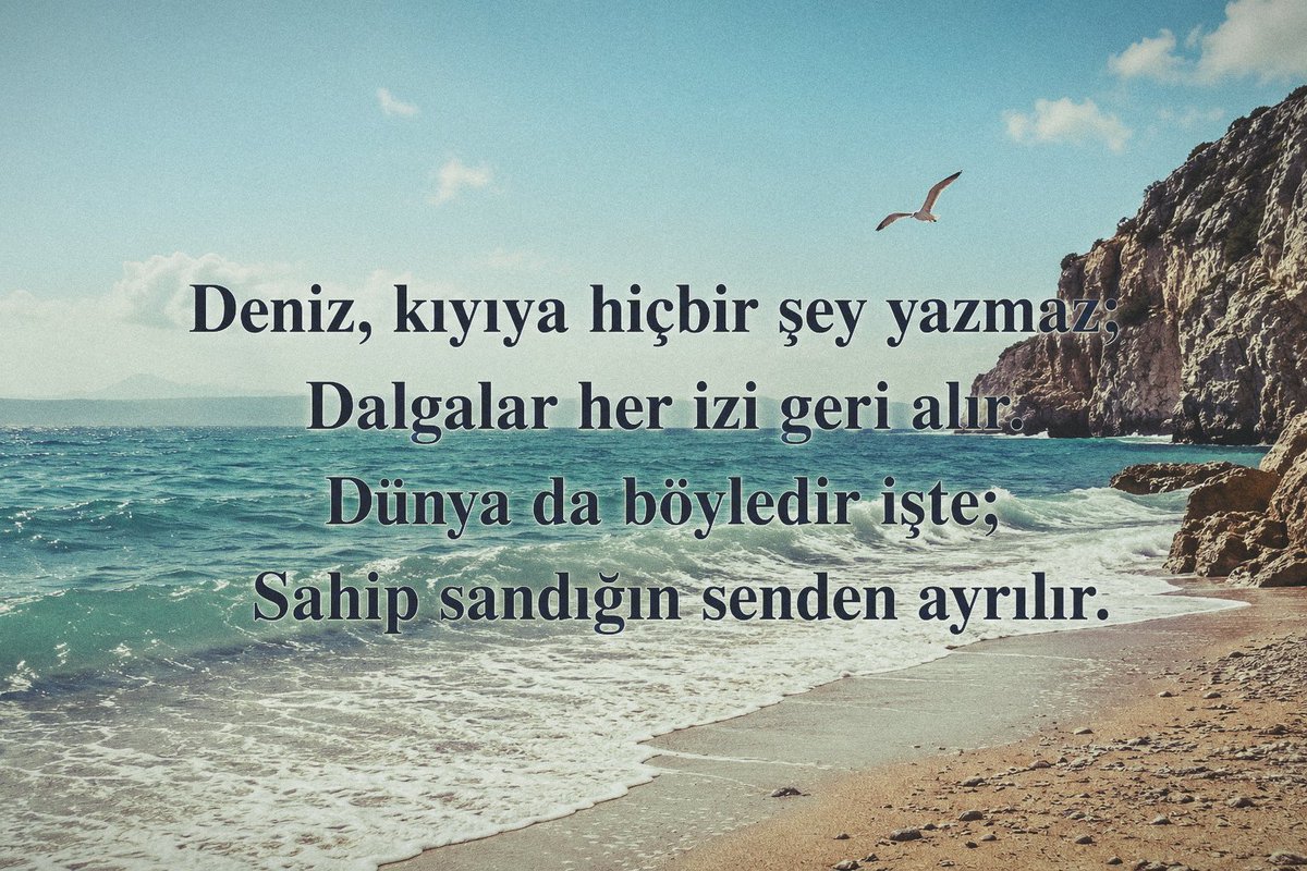 HayirliSiirler's tweet photo. Hayırlı günler🌞
#şiir #poem #deniz #dalga #dünya https://t.co/0T08uGPj0q