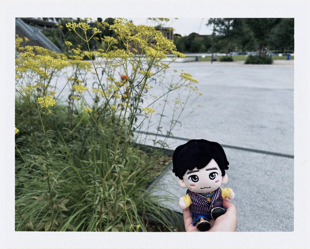 n_e_46's tweet photo. 少し前に私用で東京に行ってきたのですが、その時撮ったお気に入りの1枚📷
よにの# 381で寝っ転がって写真撮ってた場所😂
今は黄色のお花が咲いてたよ🌼 https://t.co/SIN4mKCgyV