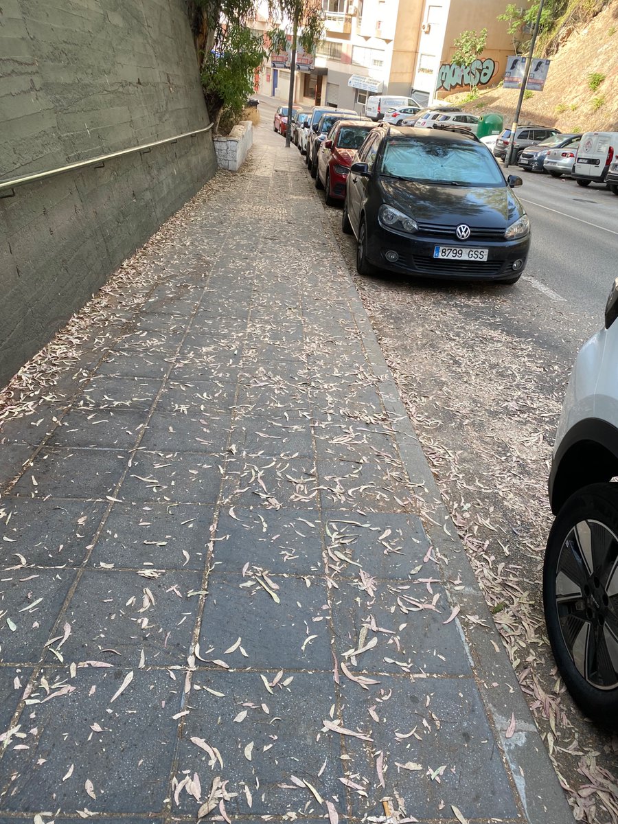 PaulaLatorres1's tweet photo. Da asco pasear @malaga @malaga_este @MlgLimpia @LimasamOficial @malagaHAVESOS @BarriosMalaga @malagaparavivir @opiniondemalaga @_ElObservador_ https://t.co/c7S3mnHJnM