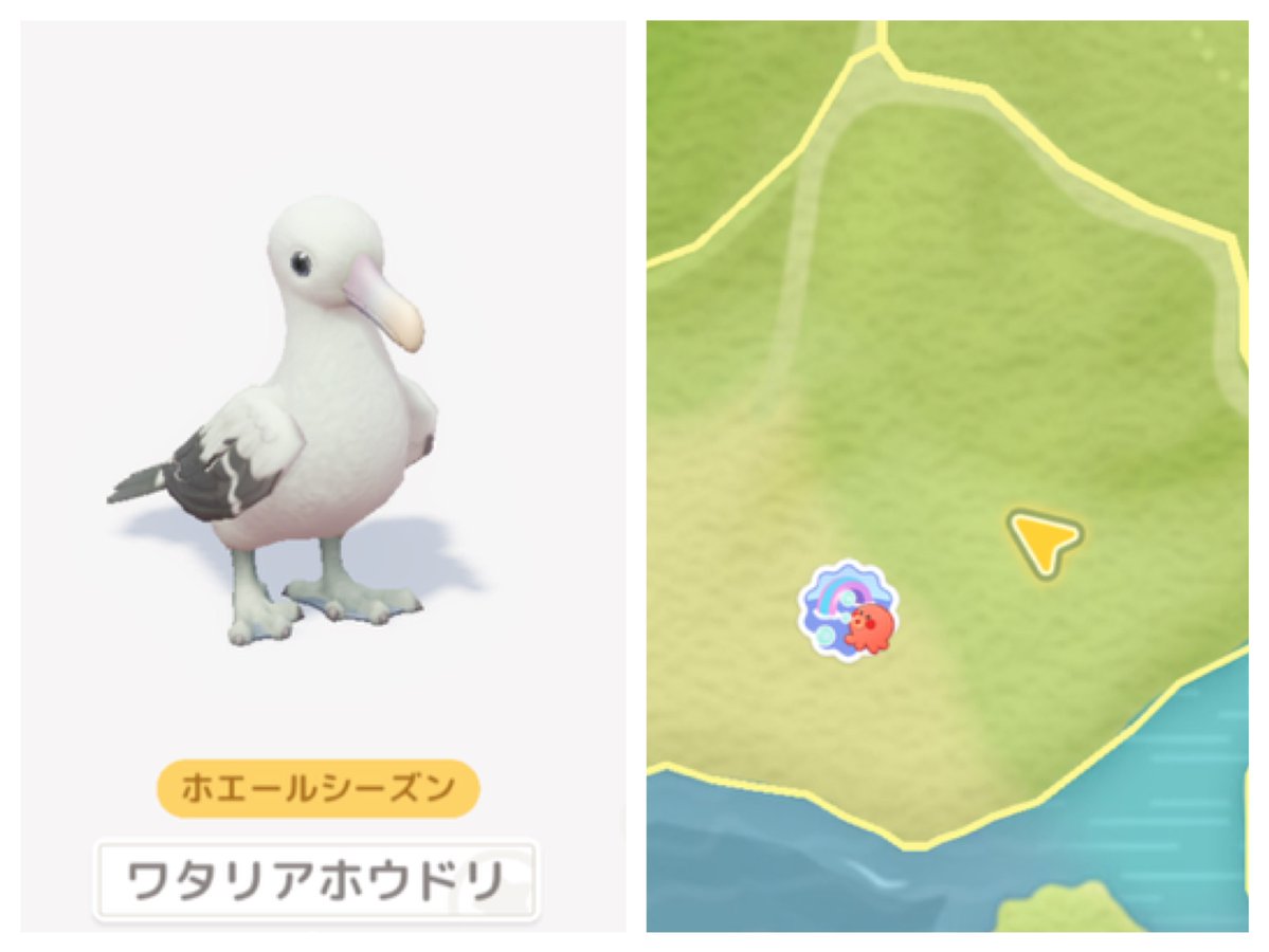 mutsuki_heart's tweet photo. 見つけた場所も載せてるから参考にしてみてね✨

・ハジロクロハラアジサシ：花畑-クジラ山
・トウゾクカモメ：花畑
・ヘラサギ：温泉山の湖畔
・ワタリアホウドリ：花畑-パープルビーチ
・ハイイロアホウドリ：温泉山-石海岸の崖

#ハートピア #ハートピアスローライフ  #heartopia #ホエールシーズン https://t.co/s2CzT8qXA3