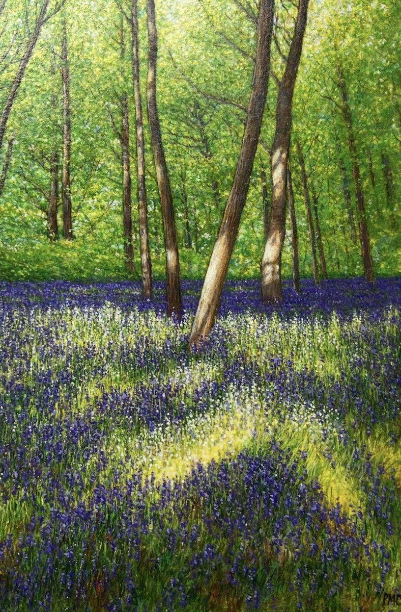 PMorganClarke's tweet photo. My painting Spring Bluebells on show at The Hatton Gallery Newcastle University Summer Exhibition 2026 #Summer #Newcastle #Art #Acrylic #Nature #Bluebells #england https://t.co/e6Wy6mbSaC
