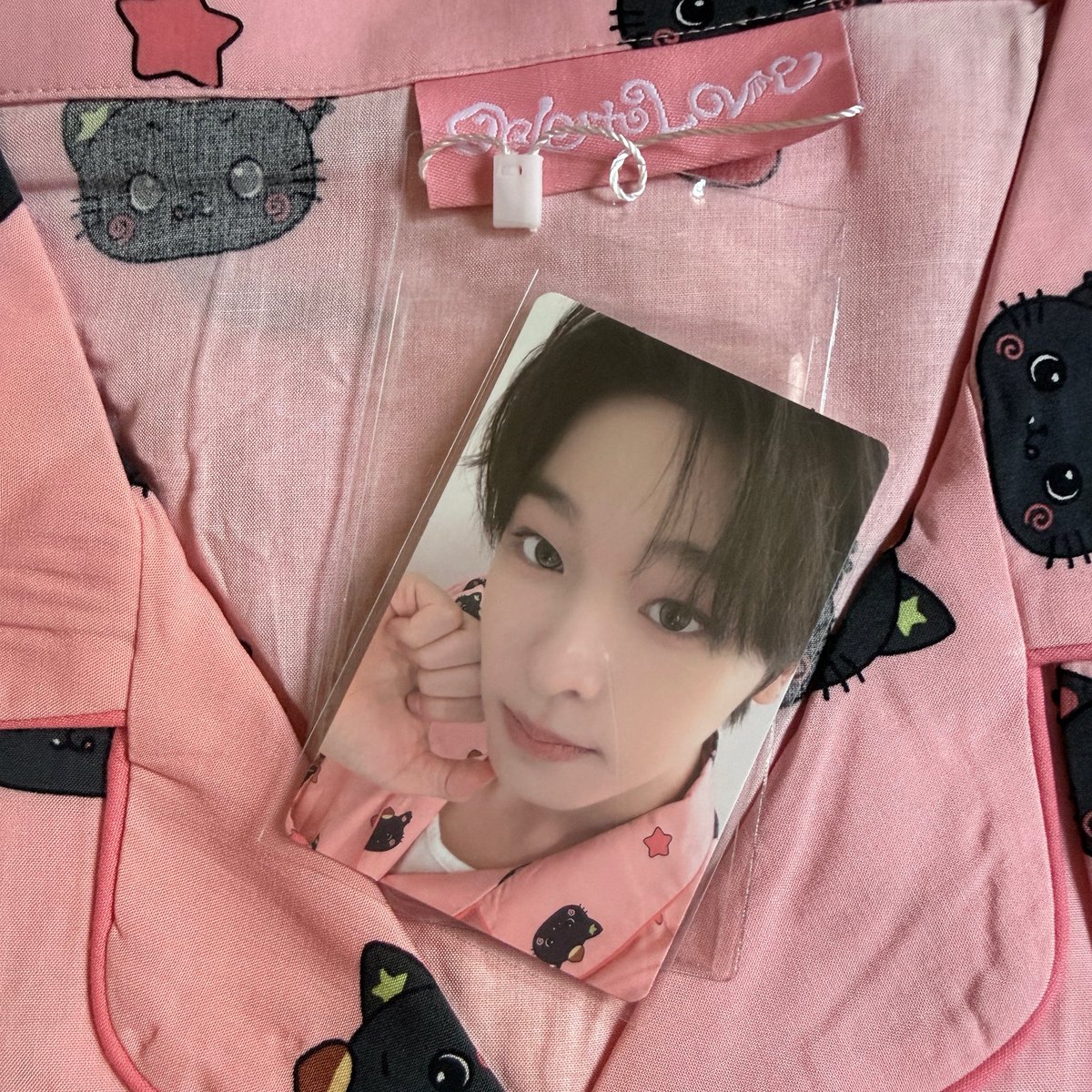 쿠네✨ tweet media