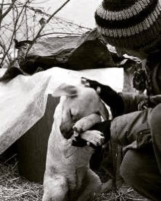 RosannaMarani's tweet photo. Solo un essere ignobile può tradire la fiducia di un animo puro che confida in lui.
Dal mio libro #tidolamiaparola
#aforismi #solo #essere #ignobile #tradire #fiducia #animo #puro #giochidiparoledirosannamarani https://t.co/cxxqgwrIBX