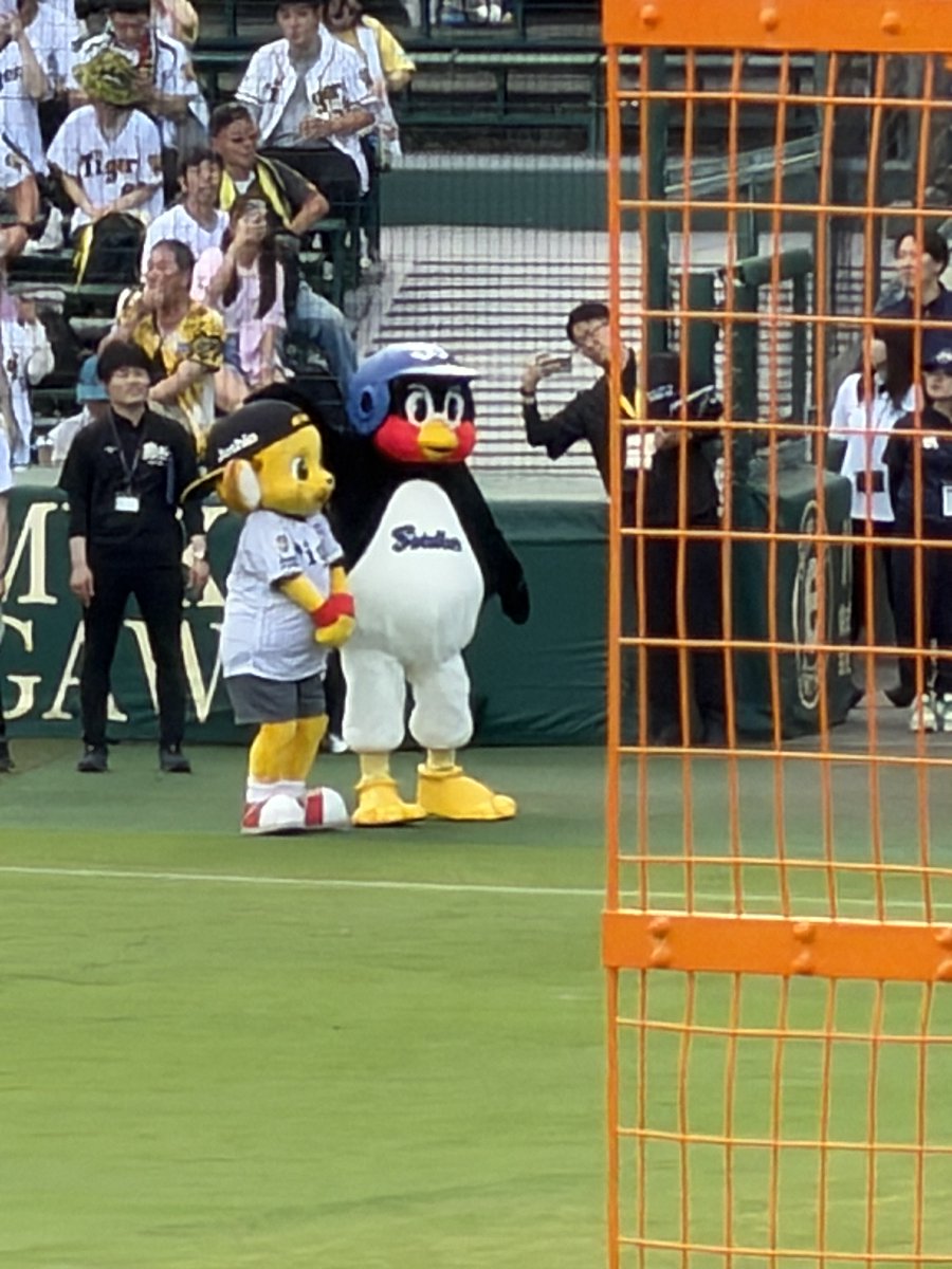 haruna11's tweet photo. ありがたや https://t.co/IHMMPmt47Q