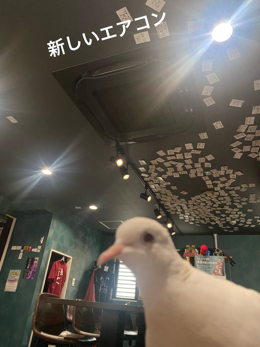 chackix131's tweet photo. 去年は真夏にエアコンが壊れて新品に入れ替えするというバカでか支出をかました当店ですが、おかげで今夏は快適な気温・湿度です。
ぜひ新しいエアコンの快適な風を浴びに来てください。

#手品のフウフ 
#快適です https://t.co/5ivjvWkJ1D