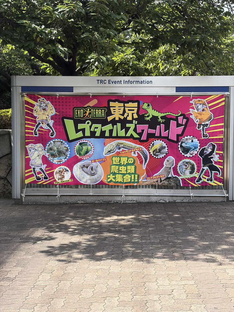 Mitarasi415's tweet photo. 1日目ありがとうございました✨✨
忙しくてお会いできなかった方すみません🥹
明日も東レプにおりますのでよろしくお願いします❣️ https://t.co/rOrhk7ePAK