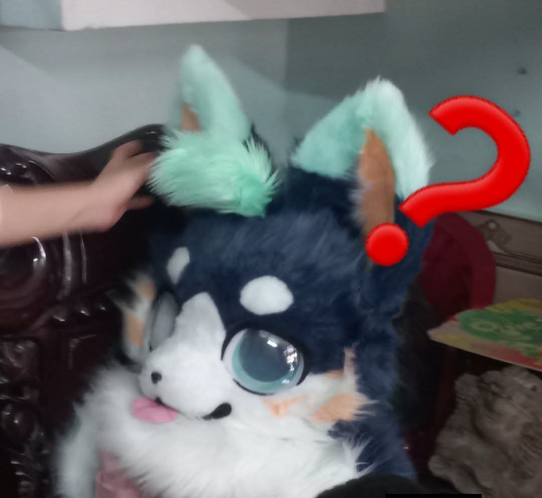furry0123's tweet photo. @Fluffy_PuffCat =w= what the "fack" https://t.co/fzthDA6ON4