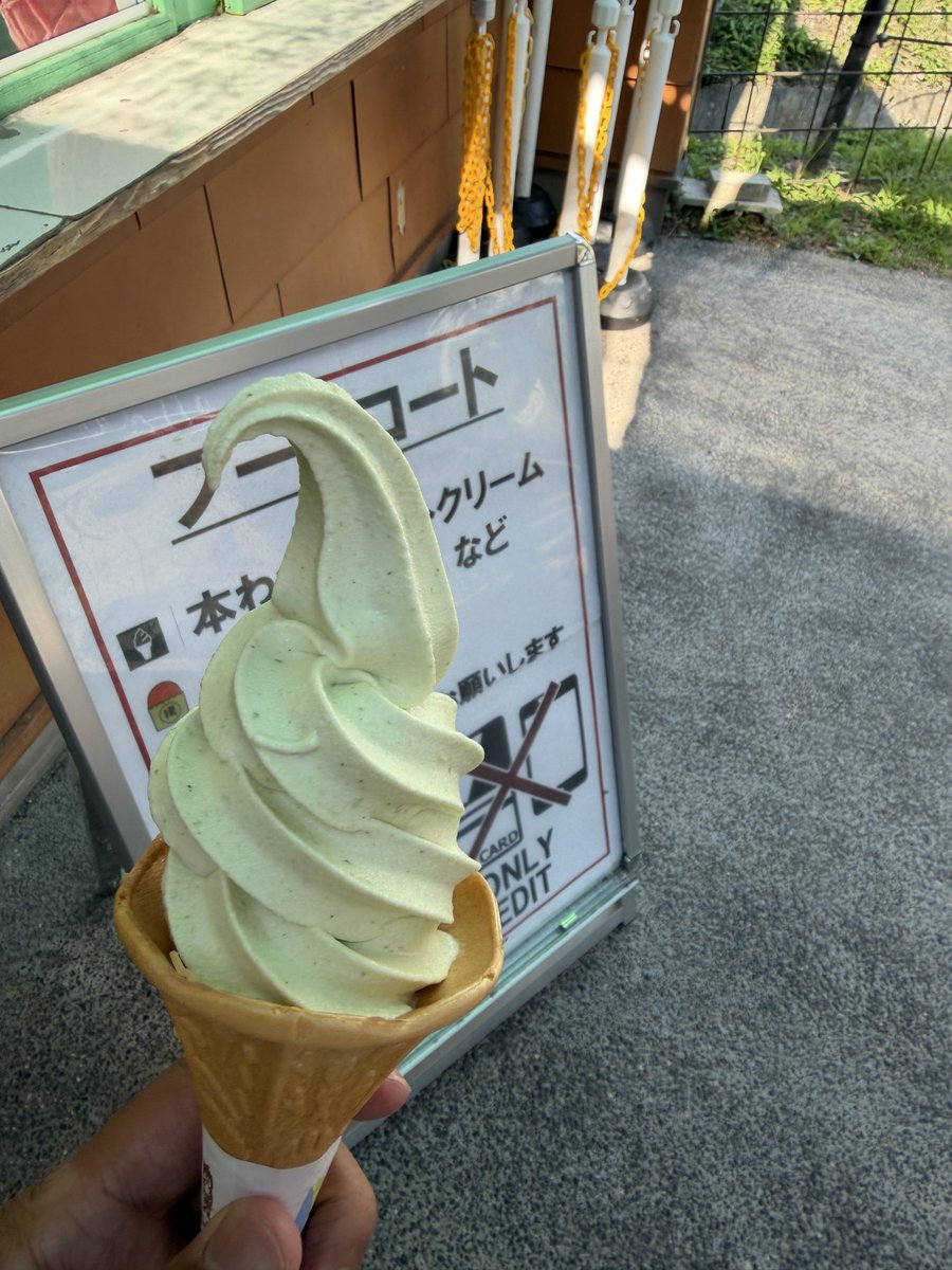 Relation29's tweet photo. 大王わさび農園とわさび農園にいたネコ https://t.co/LPuheGWWU7