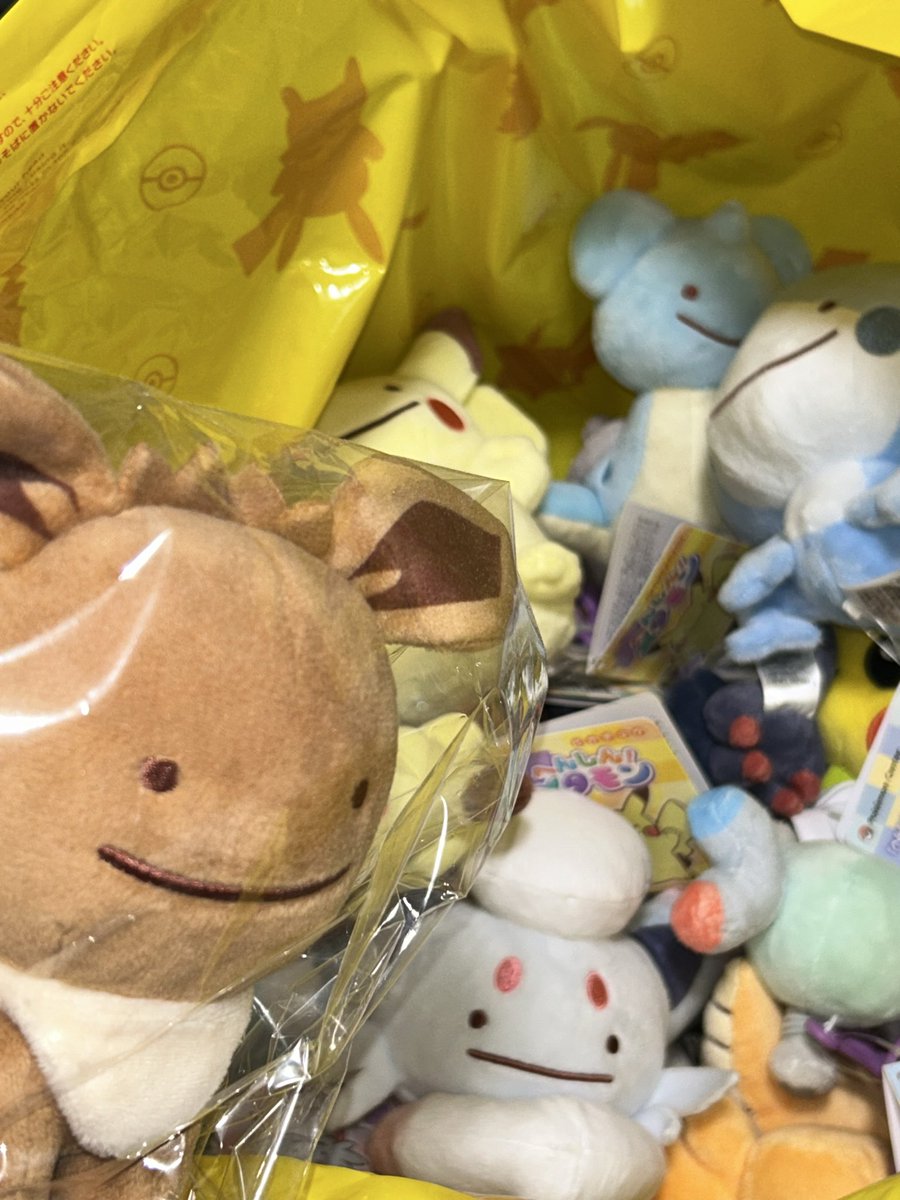 haru71533's tweet photo. みんな、ようこそきたブイ！ https://t.co/13zLnRznxf