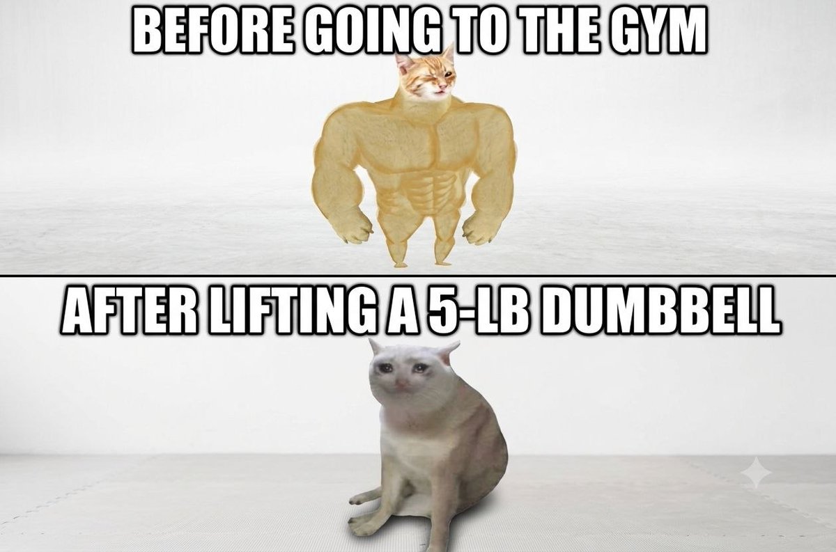 SwoleCat tweet media