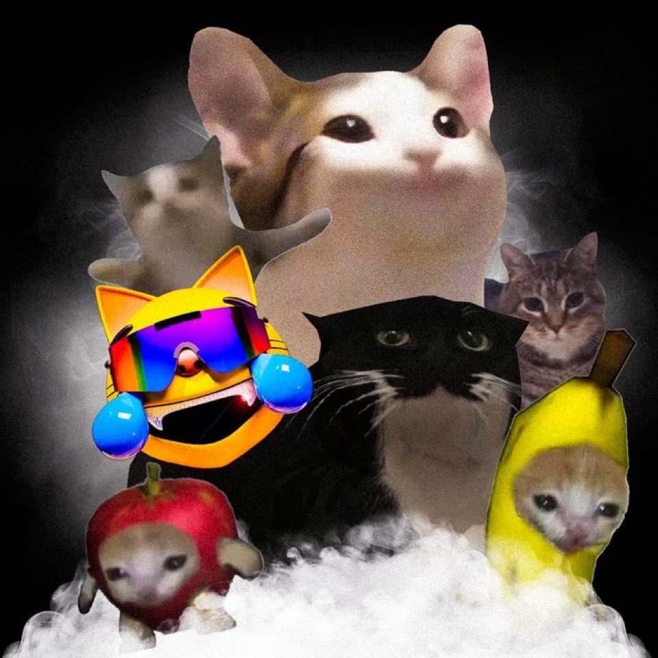 Maxwell the Cat tweet media