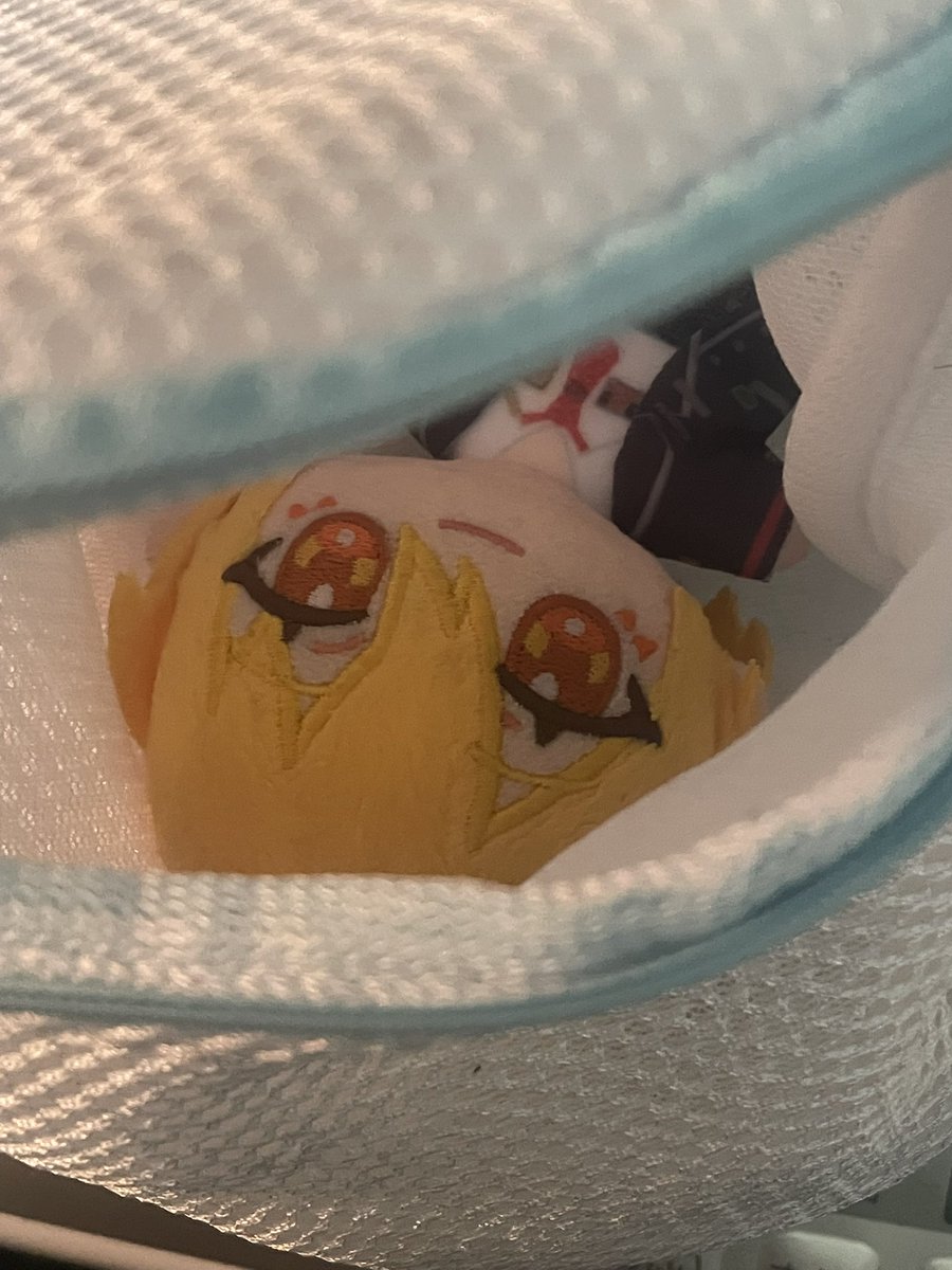 nukomarusound's tweet photo. 外連れ回してたら顔汚れてきたので洗いました https://t.co/BVp6tMPloH