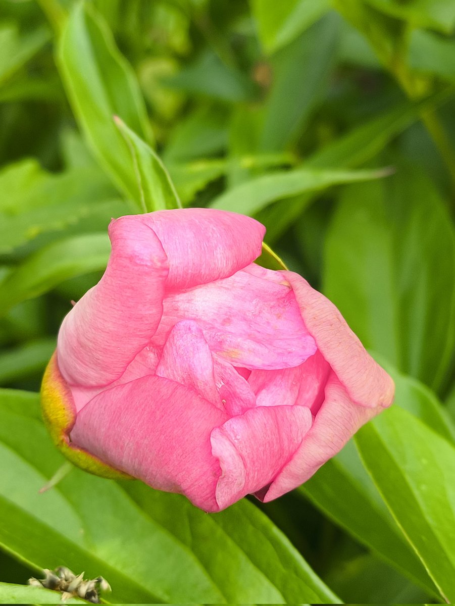 gagara48 tweet picture