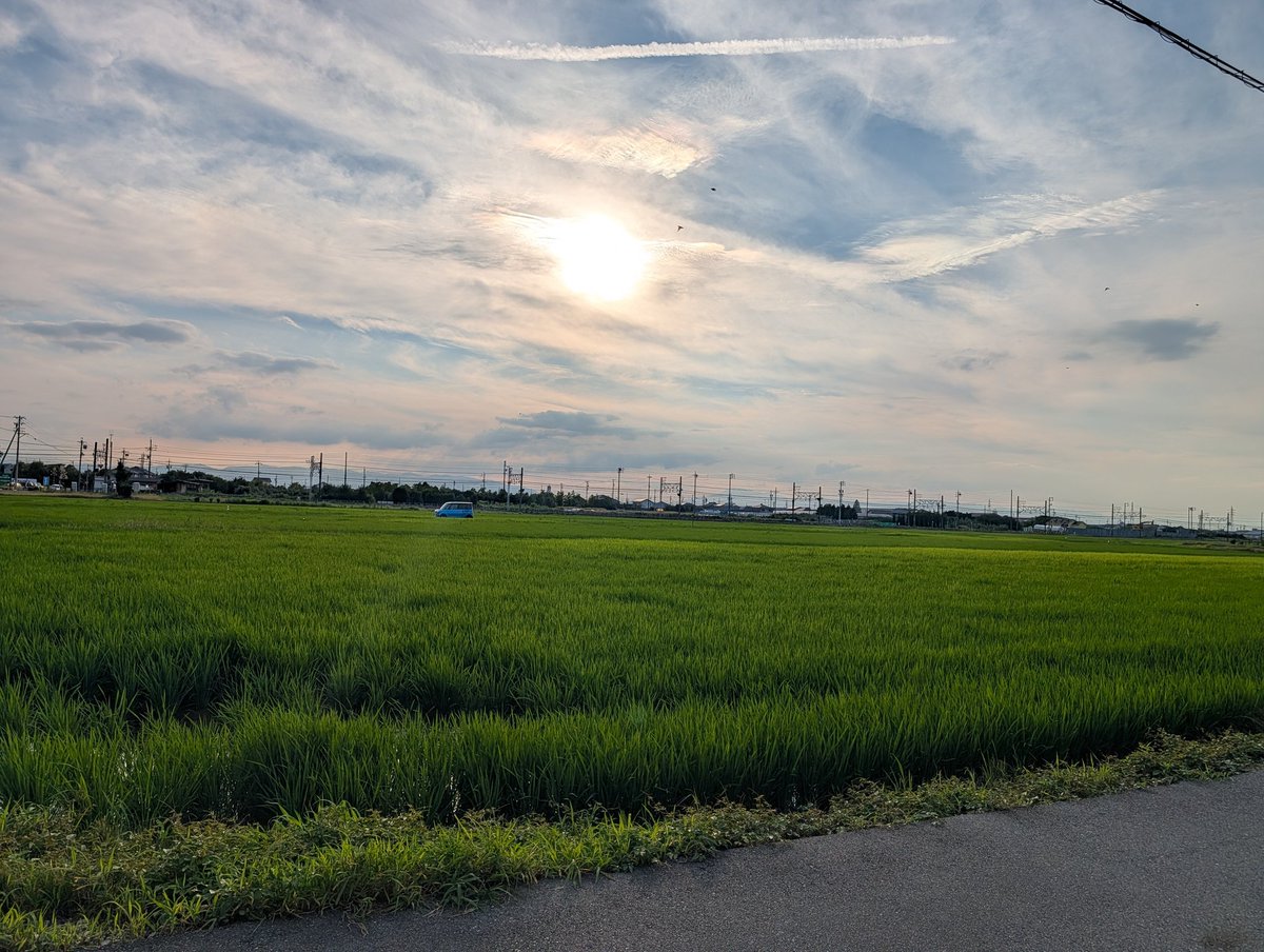 tencho1729's tweet photo. つくづく自分は田舎育ちだなと痛感する
こういう景色を己の原風景と捉えてる https://t.co/P414gkwS9P
