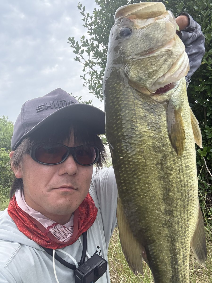 FISHMAGNET