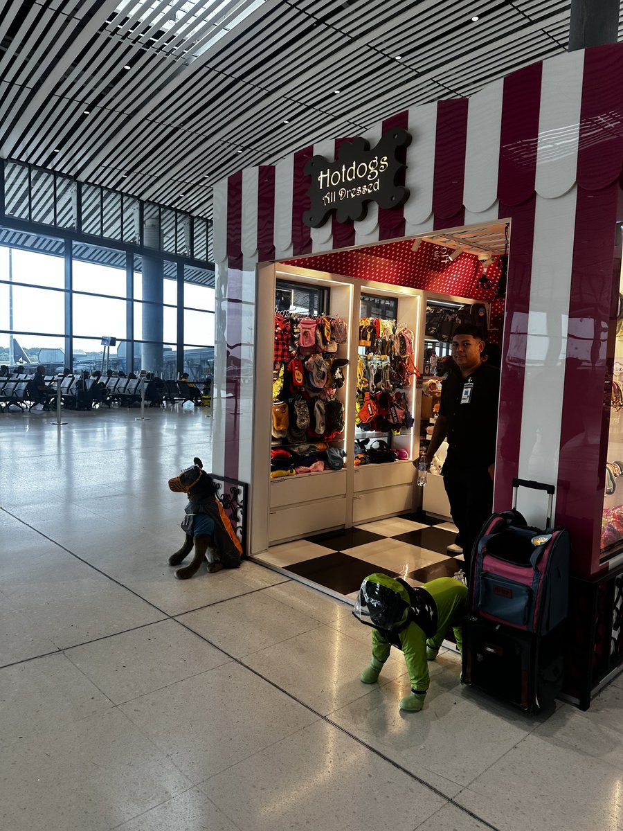 MarigenN's tweet photo. Que importante se han vuelto las mascotas en nuestra sociedad. Me sorprendió encontrarme con tiendas para mascotas al lado de tiendas de souvenir en el aeropuerto. https://t.co/TQFKoclWhF