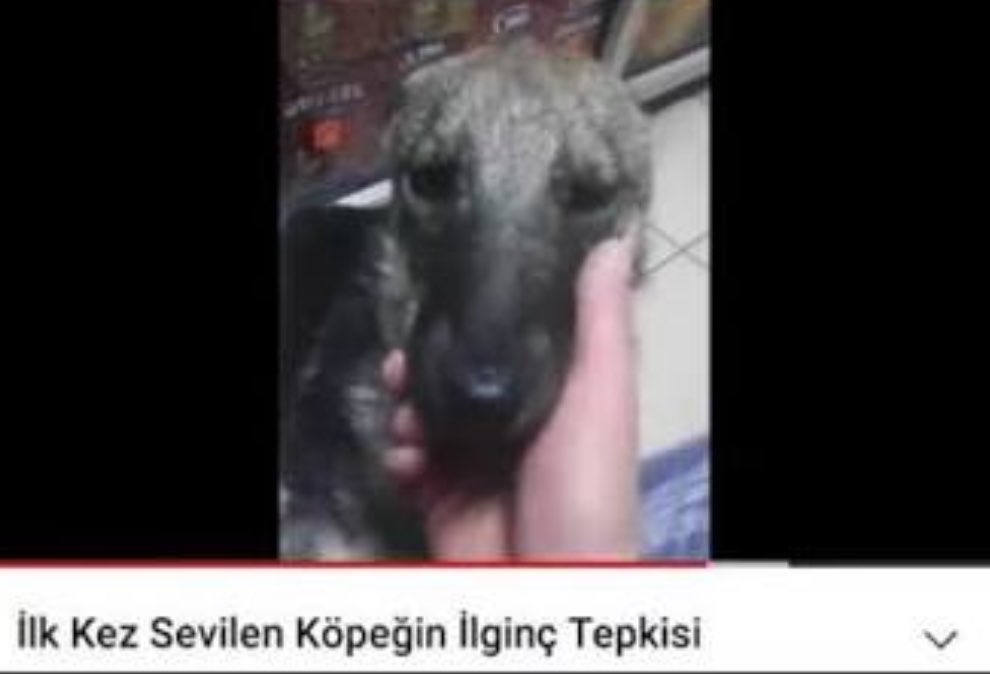 taeriika's tweet photo. kuzenim beni süsledi makyaj yaptı sac yaptı anlık böyleyim kendime karsı https://t.co/Yiar1MumrX