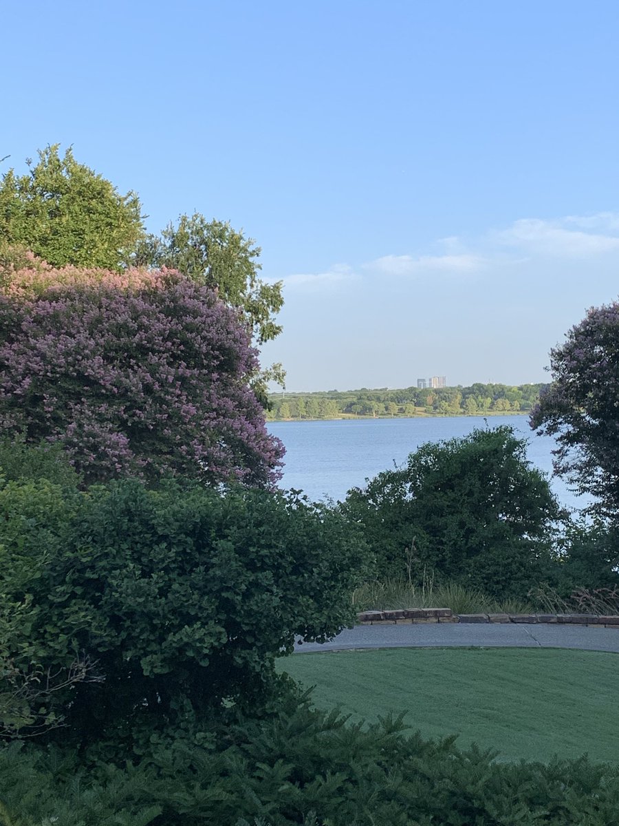 perriwhite2's tweet photo. This morning @dallasarboretum https://t.co/jeVpBXvj5r