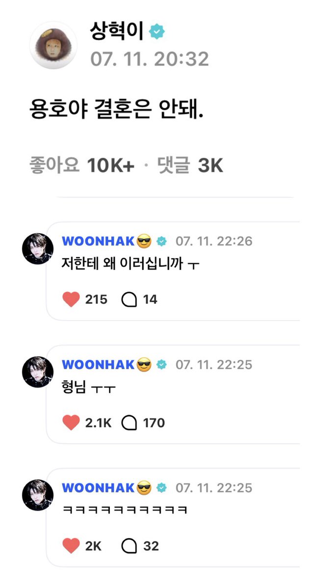 둡 tweet media