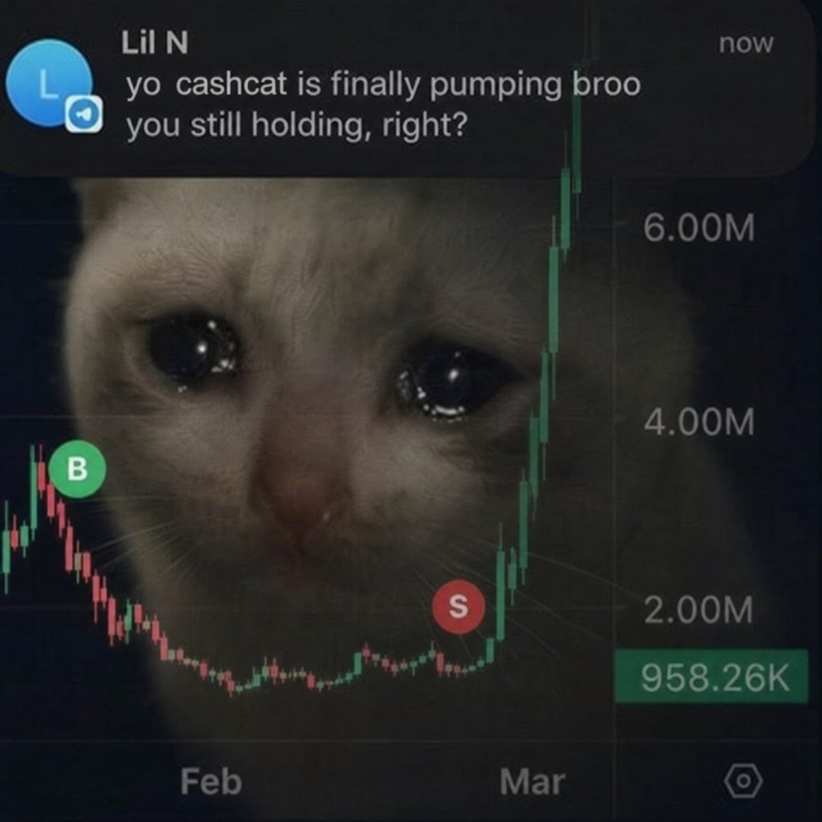 Onchain Lens tweet media