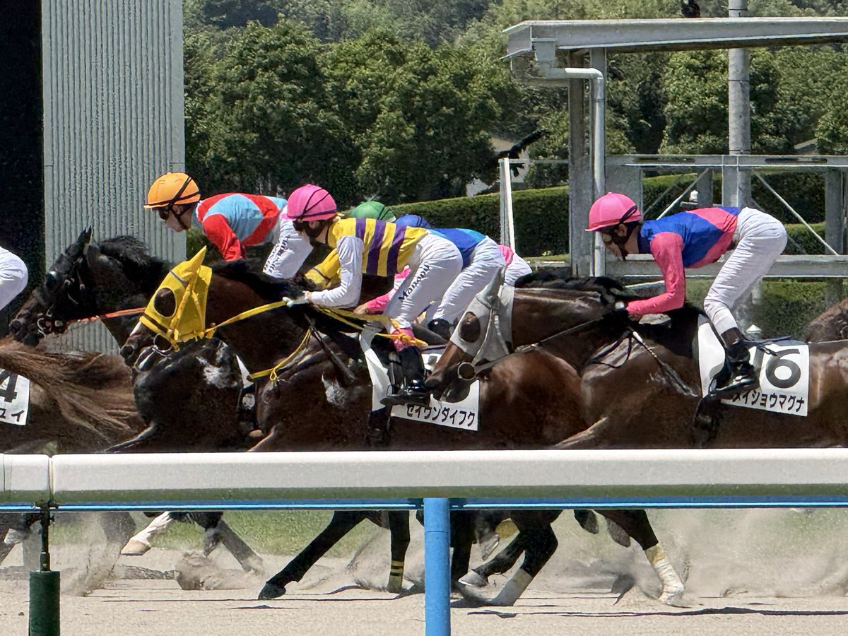 A_kai428's tweet photo. 小倉競馬行ってきたけどダートっていいよな〜
特に砂を蹴って舞う所 https://t.co/26b9iFAuYR