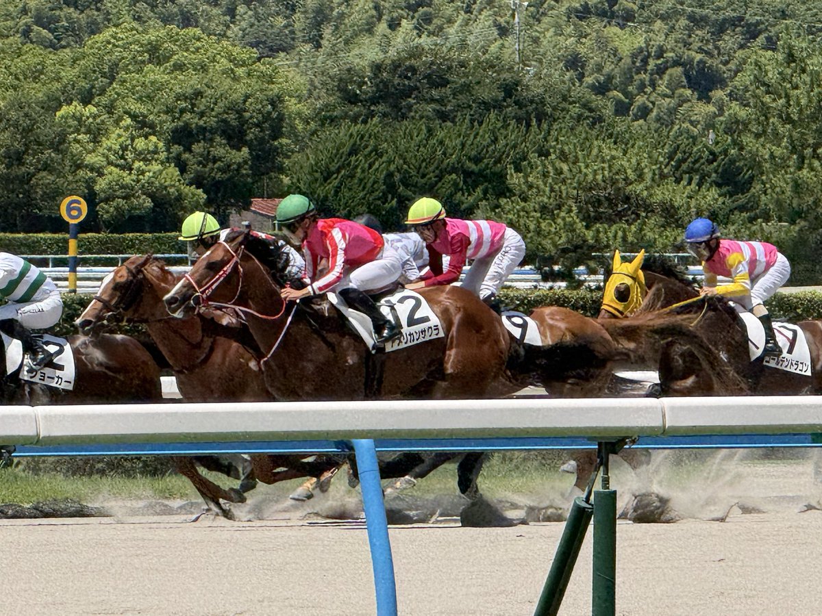A_kai428's tweet photo. 小倉競馬行ってきたけどダートっていいよな〜
特に砂を蹴って舞う所 https://t.co/26b9iFAuYR