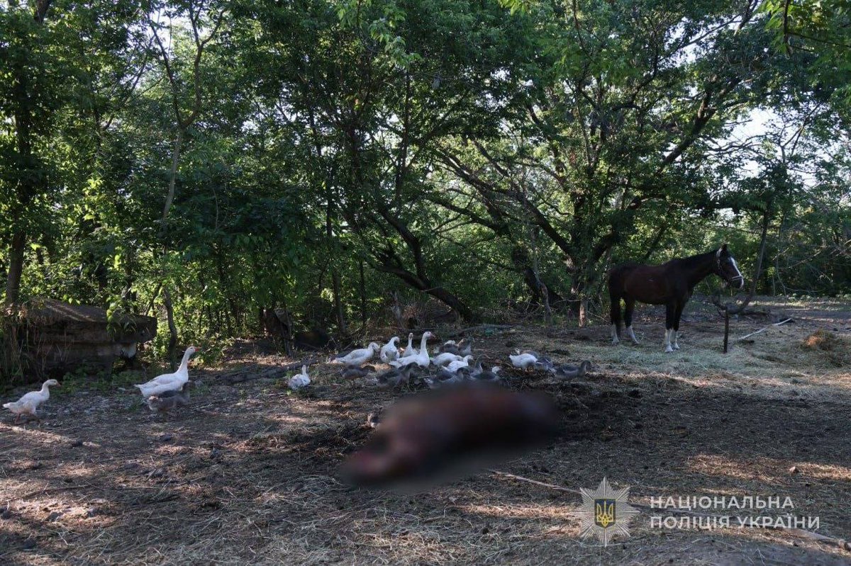 kary_zorry's tweet photo. If you lack empathy for the human lives destroyed by Russia, perhaps you'll care about the animals. It's time to wake up, find your conscience, and issue a cancellation announcement.

#GMMTV
#RISERMUSIC
#mynameisnanon
@mynameisnanon
@RiserMusic
@GMMTV 
@som_thitaree https://t.co/J8cjqUbH8a