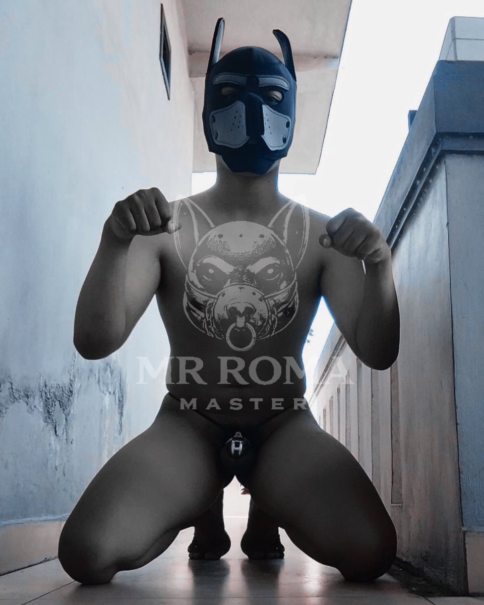 MrRomaDom's tweet photo. Witness the result of complete obedience. This dog knows exactly where it belongs and lives only to fulfill its master's wishes. My presence is earned, not given. Who’s next to prove their worth? 👣💵 ⛓️🐶

#faggot #dogslave #findom #slave #slavesemarang https://t.co/OrlWbxWkEj