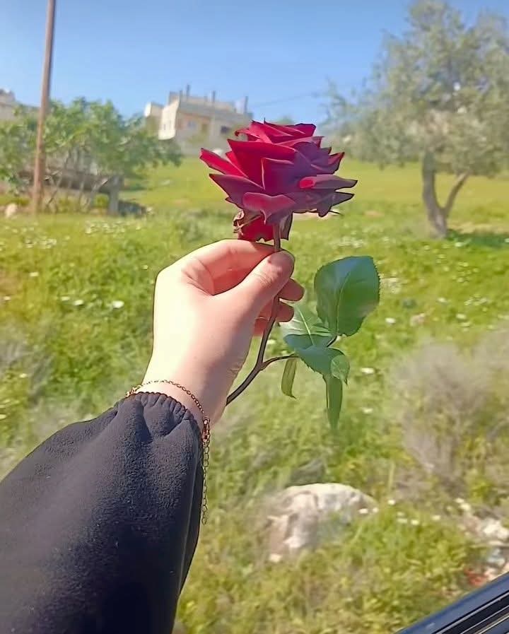 AlyafaeFuad's tweet photo. واهم من يعتقد انه كل شي قد انتها ويفرض علينا واقع جديد يريده هو لازال كل شي تحت قيادة الرئيس القائد ابو القاسم نحن من يدير الأوضاع نقدم الورد وان لم يقبلو الورد بعد الورد باروت https://t.co/M4ZefiiMjc