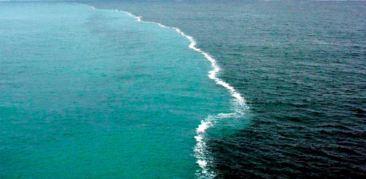 ivanfamil's tweet photo. El mar es salado y los ríos que desembocan en él son dulces, pero esos ríos también llevan sal. Entonces, ¿por qué el agua del río no sabe a sal y la del mar sí? La respuesta tiene que ver con una trampa de la que la sal no puede escapar. Tira del hilo 🧵👇🏽👇🏽👇🏽 https://t.co/RmZ22MvAyU