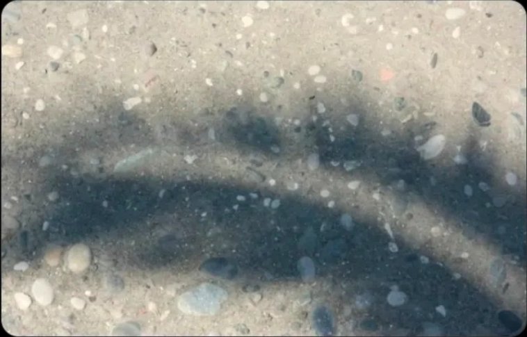 Intelldoctor's tweet photo. @kaitlancollins True story or tale: Moses sent Aaron from heaven to check #Canaan. Aaron reported: "Amazing, but poor; the guide asked to shield them from outside oil-interference!" Moses hit the sea with his staff, &amp; a gas geyser erupted! Yet, dominant egoism blocked this wealth from peace. https://t.co/2oexWSV0GX