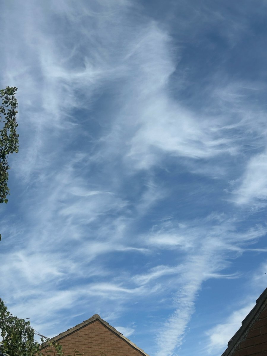 chatswithem's tweet photo. All of this came from planes 

NOT natural 

Should NOT be there https://t.co/8N9IFIEoQZ