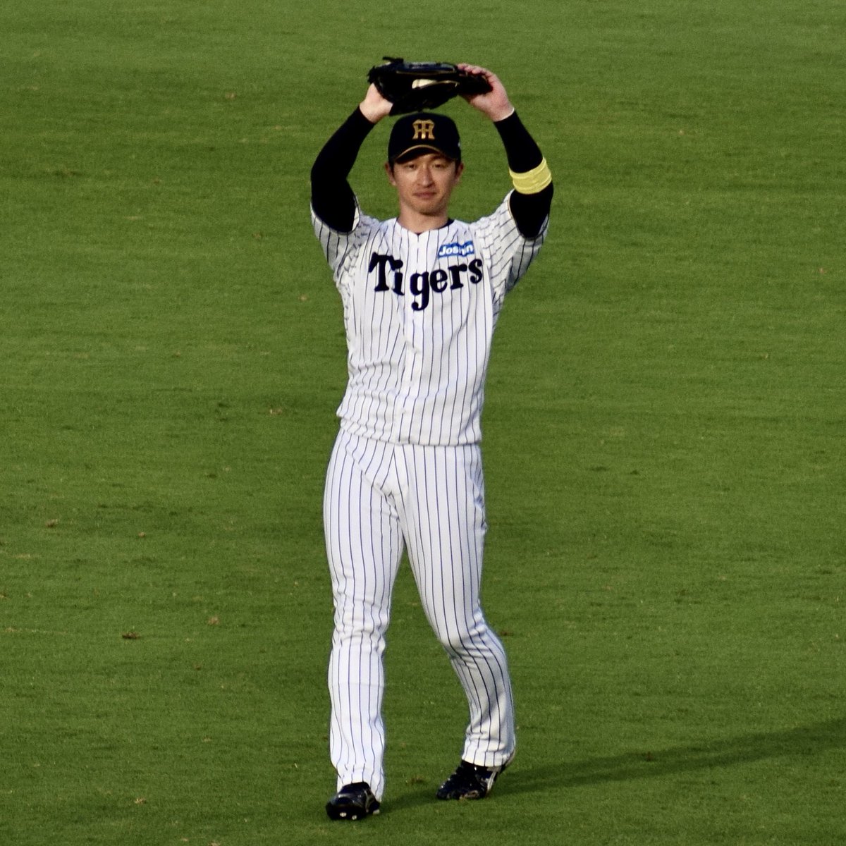 gjsgly_'s tweet photo. 10年前のカメラの限界を感じているが、めっちゃカメラ目線の近本さん撮れた https://t.co/qeqyMhKYbx