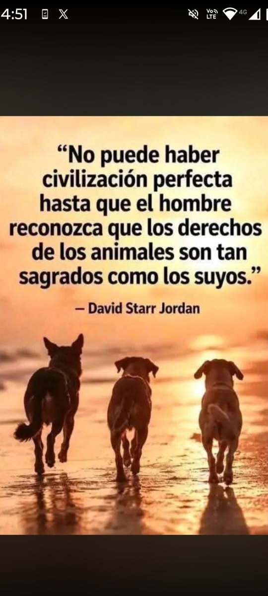 Luisgranate3's tweet photo. Cuidarlos y tratarlos bien habla de tu bondad! ❤️🤗🤗 https://t.co/McnaEiwGGe