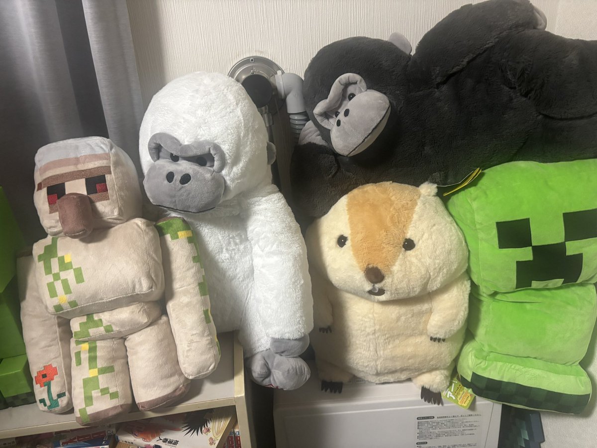 Roko_roko1007's tweet photo. 北海道からでもマーモットを応援できるし、マーモット村にも行くことができる
またマーモットに会いたいな
いっぱいの仲間たちとうちで賑やかにしてます
 #マーモット https://t.co/qQFayRGbhb
