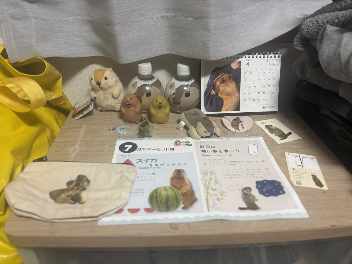 Roko_roko1007's tweet photo. 北海道からでもマーモットを応援できるし、マーモット村にも行くことができる
またマーモットに会いたいな
いっぱいの仲間たちとうちで賑やかにしてます
 #マーモット https://t.co/qQFayRGbhb
