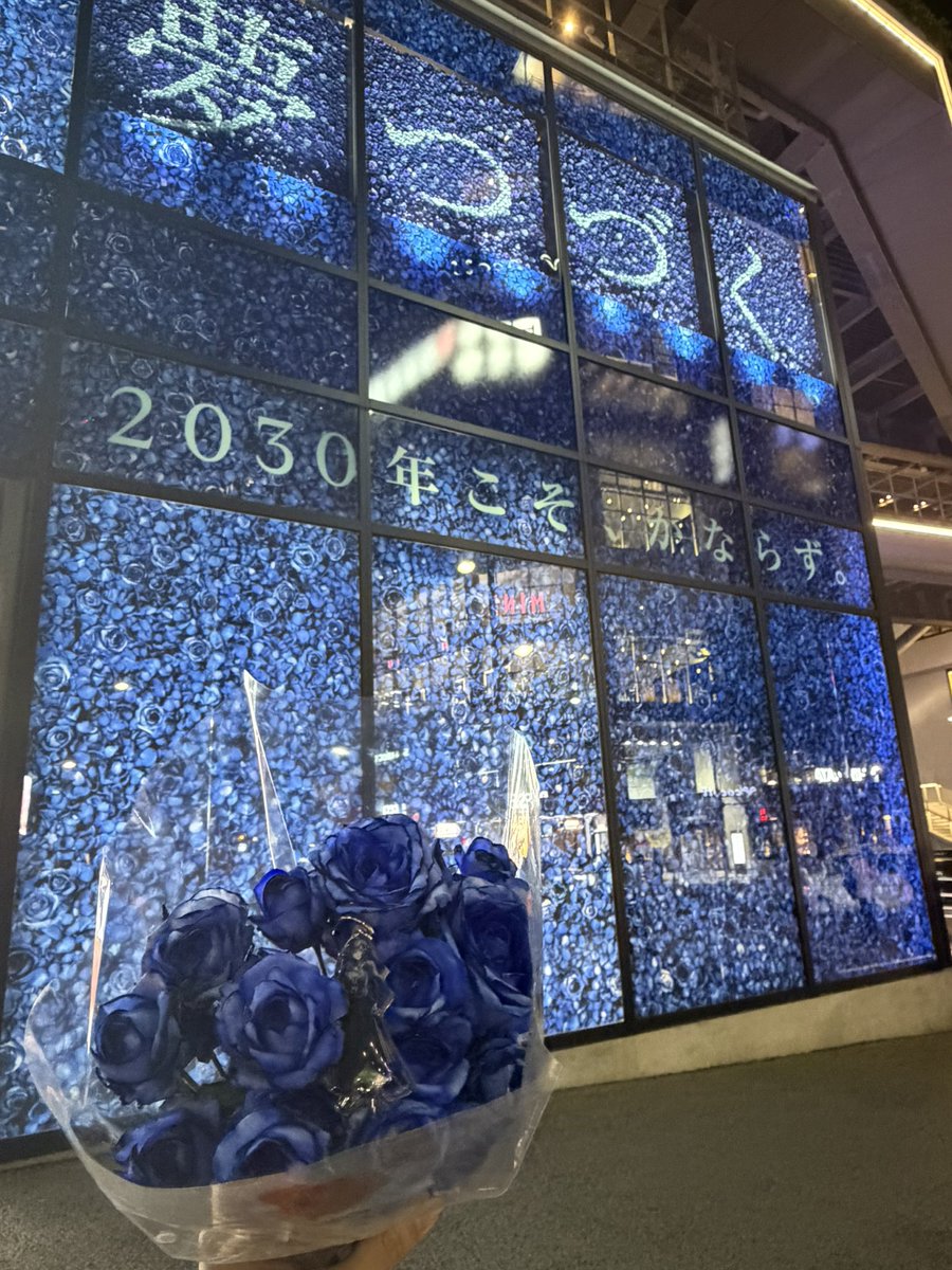 青薔薇 間接照明 夢叶う』 青薔薇ほんとに綺麗✰ྀི