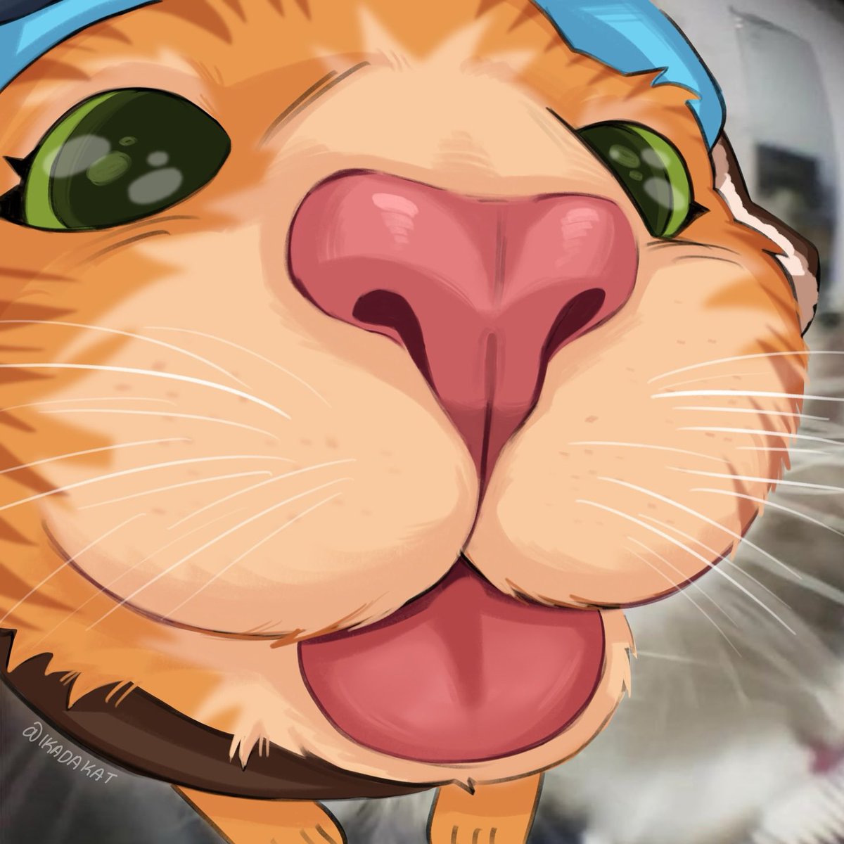 jetpackcatt's tweet photo. meowwwww meow meow!!! 😸☀️⏰ https://t.co/JHXSLtT0DM