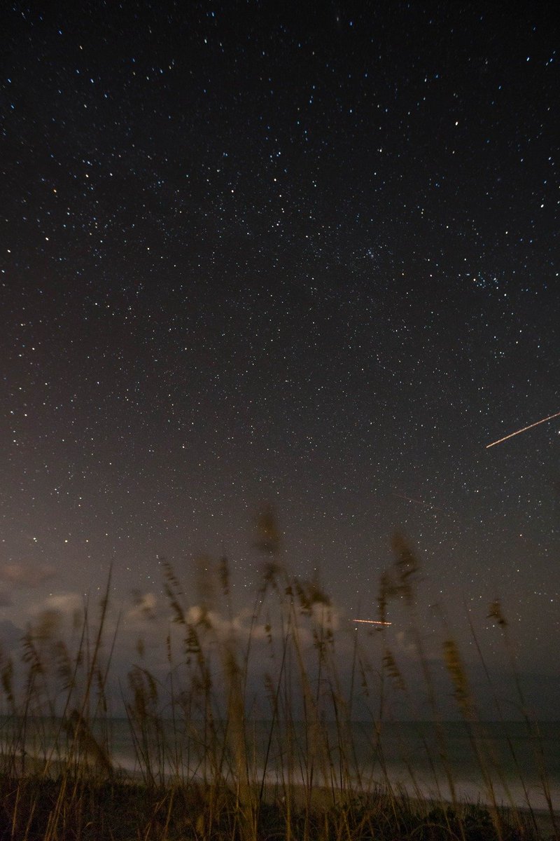 CosmosAtlasAI's tweet photo. "A DARK UNIVERSE FULL OF LIGHT: THE HIDDEN REASON BEHIND SPACE'S DARKNESS" - Kavya Choudhary 
.
Answering the most fascinating question ever: "Why is the night sky so dark if there are so many stars?"
.
Link to the full article on LinkedIn is in the comments.
#contentwriting https://t.co/3Bti2tHDNx