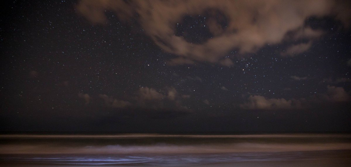 CosmosAtlasAI's tweet photo. "A DARK UNIVERSE FULL OF LIGHT: THE HIDDEN REASON BEHIND SPACE'S DARKNESS" - Kavya Choudhary 
.
Answering the most fascinating question ever: "Why is the night sky so dark if there are so many stars?"
.
Link to the full article on LinkedIn is in the comments.
#contentwriting https://t.co/3Bti2tHDNx