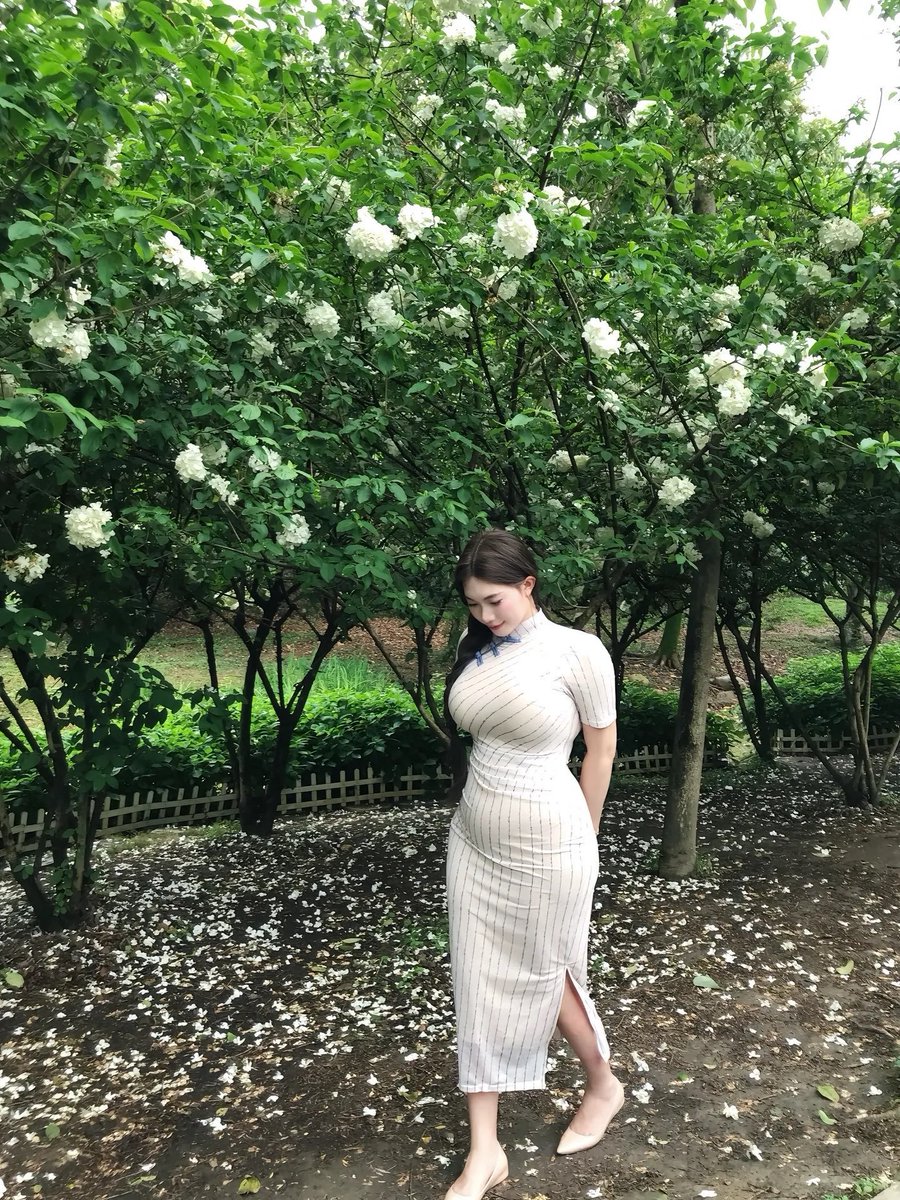 cha99624474's tweet photo. 喜欢bbw母猪穿旗袍吗 #女高 #御姐 #母猪 https://t.co/9izPRgtou7