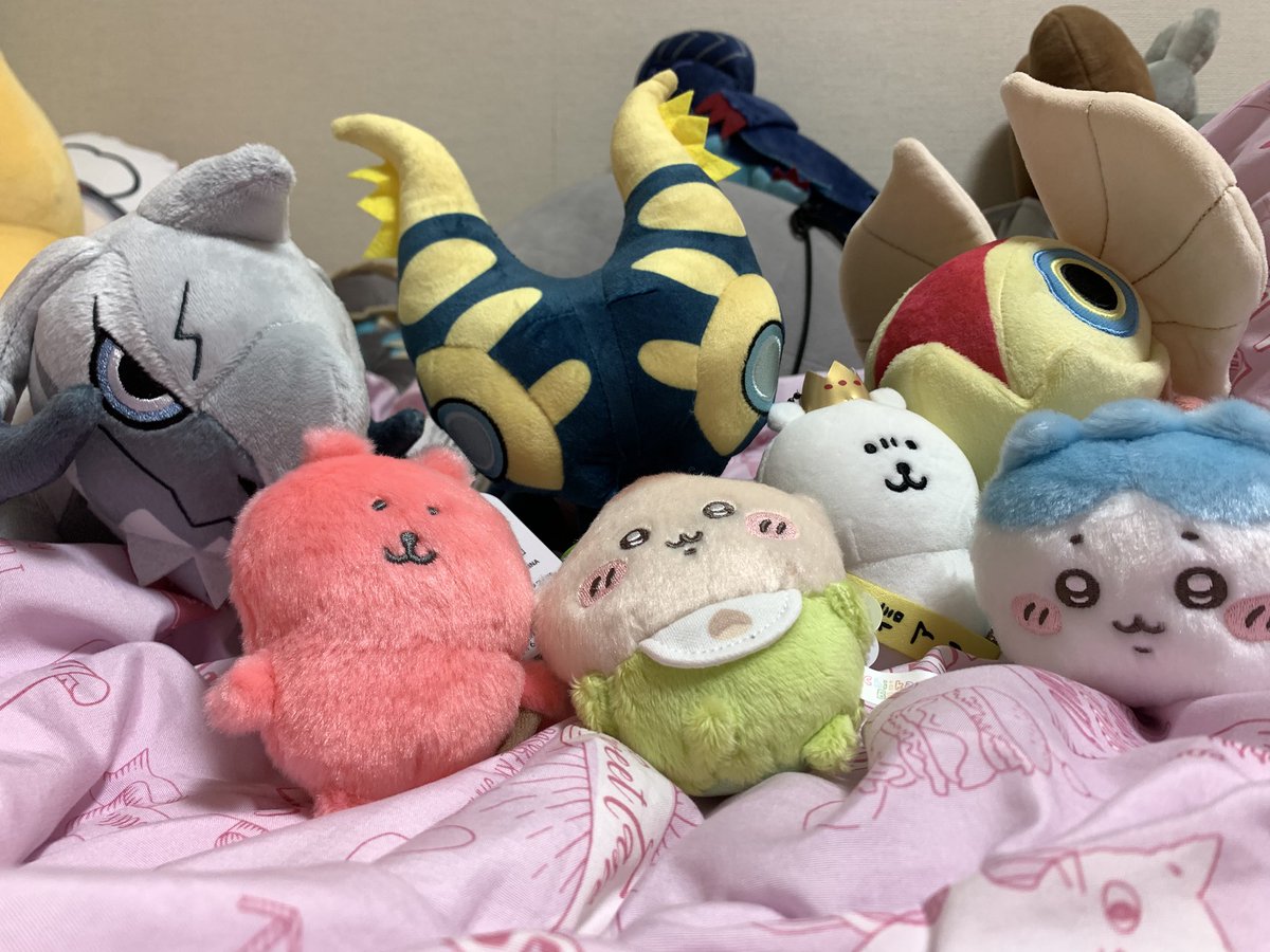 17aisuiu's tweet photo. 増えた https://t.co/Xbi4HuamPz