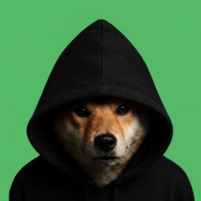 Dog in Hood | $DIH tweet media