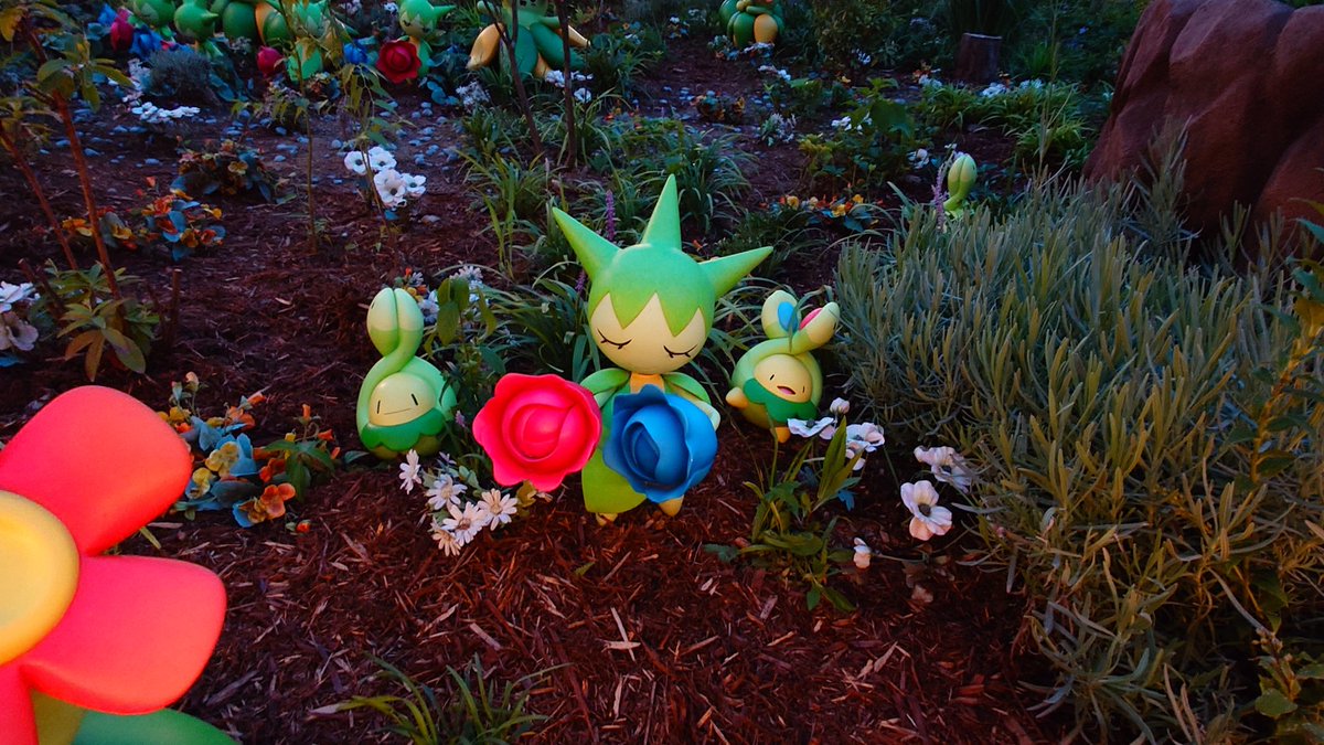 suzu666wan's tweet photo. ポケモンフォレストがやっぱりすごい良かった･･･ポケモンが生きてたよね･･･あの森で･･･ https://t.co/4NthRPQjON